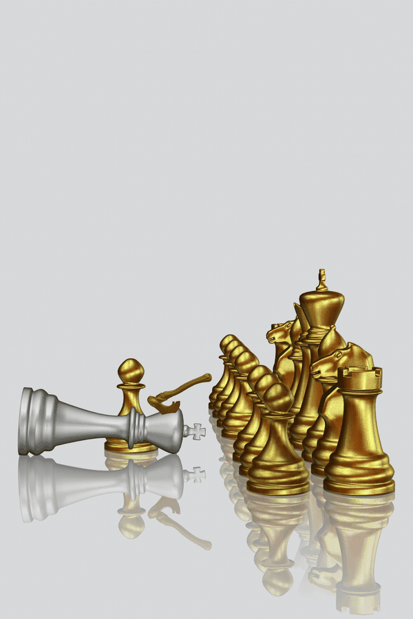 financial performance, liquidity optimization, forecast review, metrics